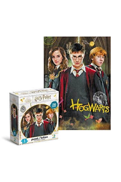 Dodo Puzzle Harry Potter and Friends, 250 pieces, Multicolored, 182x154 mm