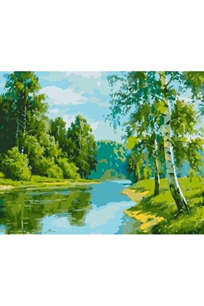 qbee Pictură pe numere - Margine de mesteacăn 40x50cm