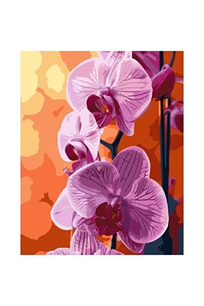 qbee Kit de pictură prin numere - Orhidee 40x50cm