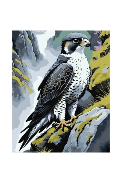 qbee Pictură pe numere - Rătăcitor pe stâncă 40x50cm