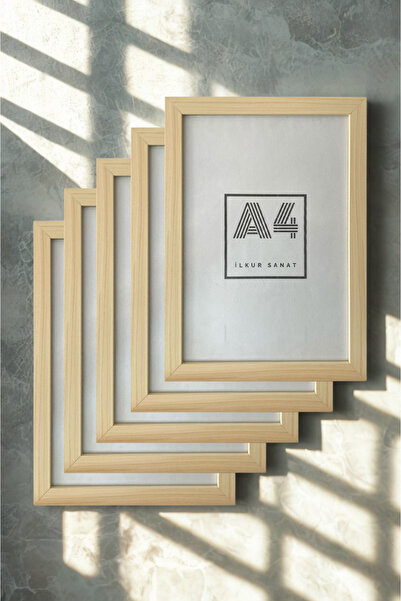 ilkur A4 Size (21X30) 2mm Thickness Matte Glass Frame Five Pieces