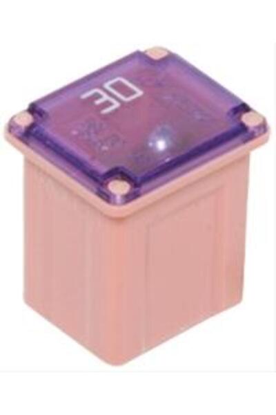 RESTAGRAF Set 2 Siguranțe Auto Tip J-Case Low 58V 30A A17352