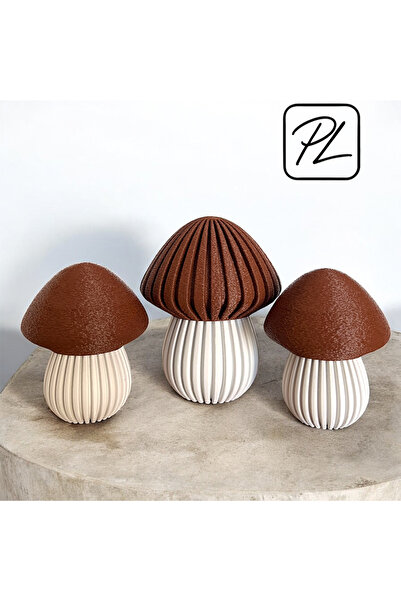 PL DİZAYN 3'lü Dekoratif Mantar Vazo Seti Minimal Modern