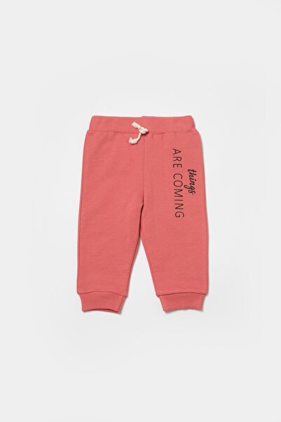 Magu Baby Cotton Hooded Teddy Bear Printed Tracksuit Set - Two Pieces