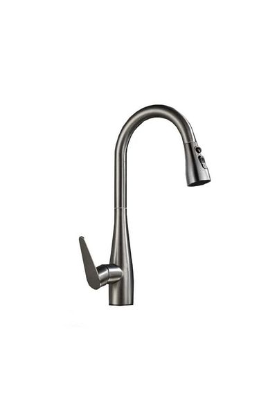 Alessandro DESIGN Kitchen Faucet with Pull-Out Shower Stainless Steel Silver ZY 1009