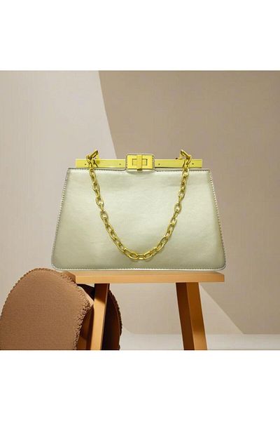 Generic fashionable luxury bag with golden accessories and chain handle along with detachable strap