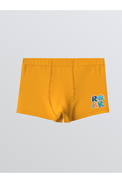 LC Waikiki Baskılı Erkek Çocuk Boxer 3'lü