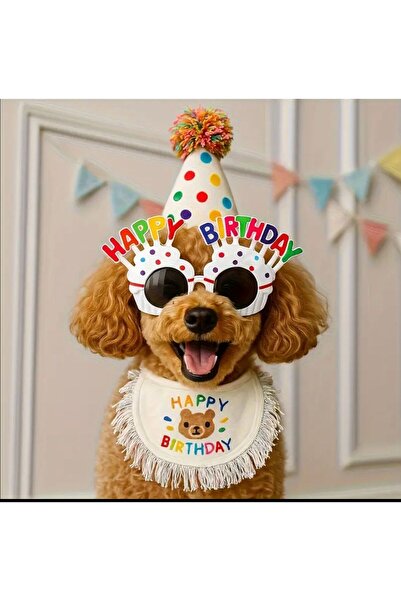 Payidar Hediyelik Cat/Dog Birthday Party Set (3 Pieces) Pet Birthday Party