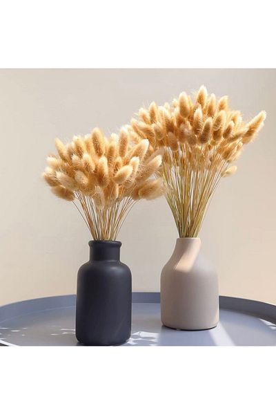 Generic حزمًا من "شعر الأرنب" أو "ذيل الأرنب" المجفف، وهو نوع من الأعشاب الزخرفية المجففة