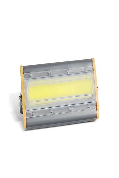 Raffine Multipurpose 50W Efficient LED Flood Light Outdoor Waterproof Dustproof Work Light Security Light fo