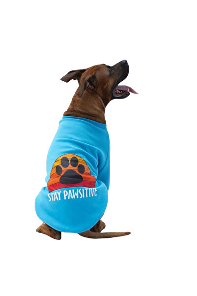 Pawstar Turkuaz Carmel Büyük Irk Köpek Sweat- 36-45 Kg 7Xl
