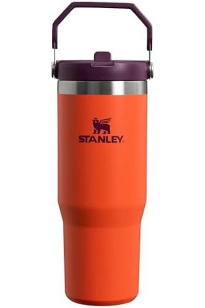 Stanley IceFlow Stainless Steel Tumbler Vacuum Insulated Water Bottle, Tigerlily Plum, 30 oz