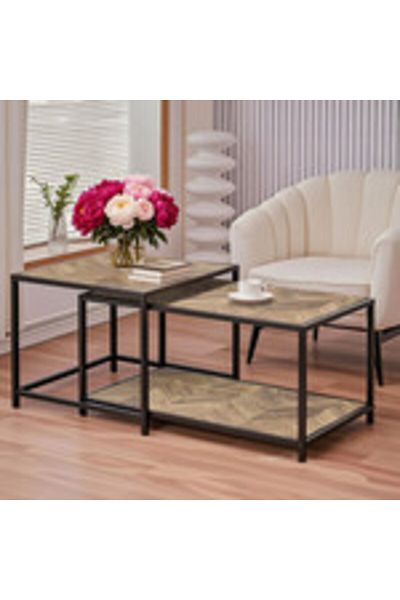 Türkiye 2 Piece Coffee Table Rustic Farmhouse Square Wood Side End Table Living Room