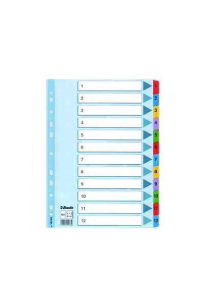 Rtc Esselte Mylar dividers, laminated index 1-12