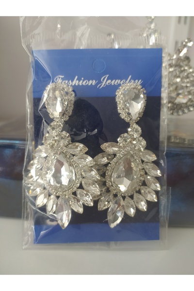 Store Silver Bridal Crown and Earrings