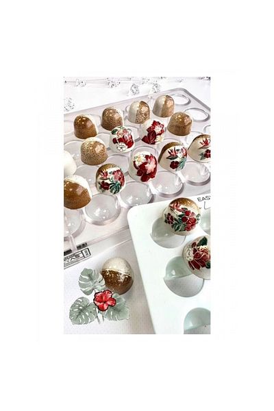 artizanmutfak Greyas Pralin Chocolate Mold Cm-3931 and Decoration Apparatus Ep-008