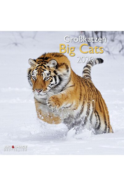 teNEues Calendar Grid 2020 Big Cats 30 x 30 cm
