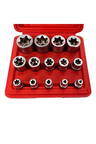 GEBOTOOLS SET TUBULARE PROFIL E E4-E24 1/4 3/8 1/2 14 PIESE GEBO TOOLS