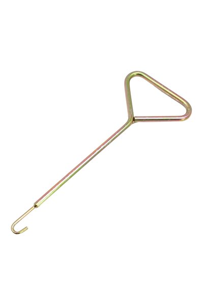 Techman ﻿CARLIG ARCURI ASTA