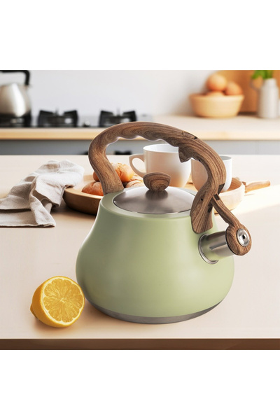 shumee GREENISH 3L Steel Whistling Kettle
