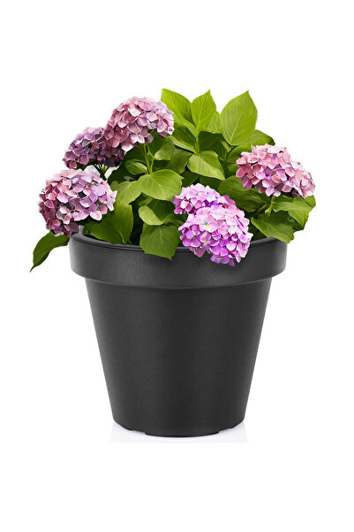 shumee Ghiveci de grădină din plastic, negru, rotund, 29 cm