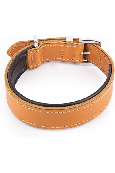 Genel Markalar Hakiki Klasik Deri Köpek Tasması, Yumuşak Deri İç Kısım, Ultra Dayanıklı ve Konforlu Deriden Tasma -