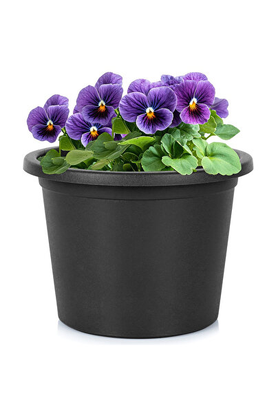 shumee Ghiveci de grădină din plastic, negru, rotund, 23 cm