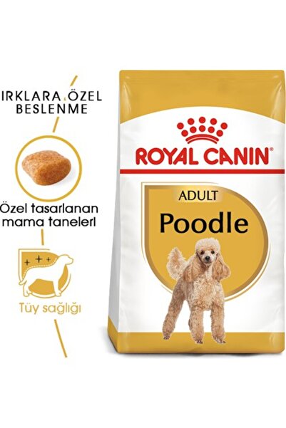 Royal Canin Poodle Adult 3 kg – Yetişkin Köpekler İçin Özel Mama (V2)