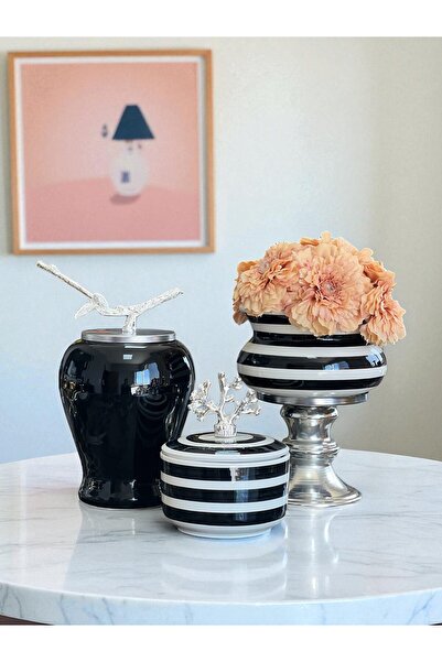 ferayhome Dekoratif Obje Salon Seti Siyah Zebra Ayaklı Saksı Düz Siyah Şah Si...