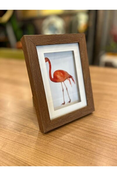 PINALE ART Paspartulu Kahverengi Fotoğraf Çerçevesi TEK 13x18cm