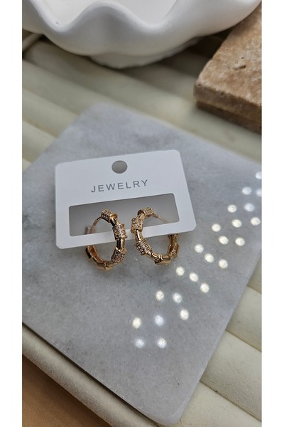 AURA Circle earrings with Zirconia