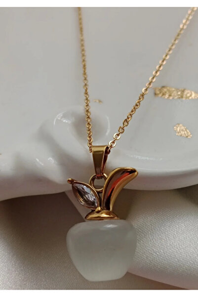 ÇELİK BEYAZ ELMA MODEL KOLYE