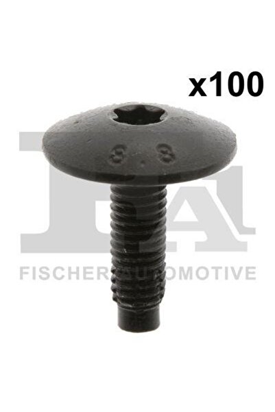 FA1 Șurub 21-70003.100
