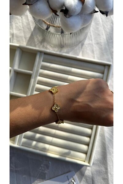 Rüya سوار من الفولاذ