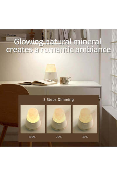 EZVALO 3 in 1 Natural Stone Aroma Bluetooth Speaker with Night Light