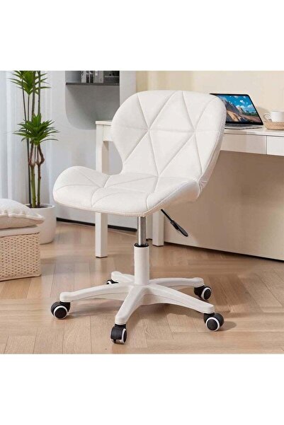 Taimi 2-Pieces Ergonomic Desk Chair with Adjustable Height Study Chair with Swivel Wheels 360°,White/Black