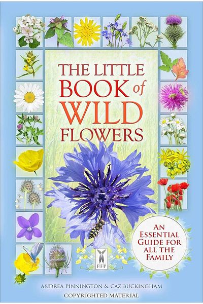 Harper Collins The Little Book of Wild Flowers - a New World to Discover