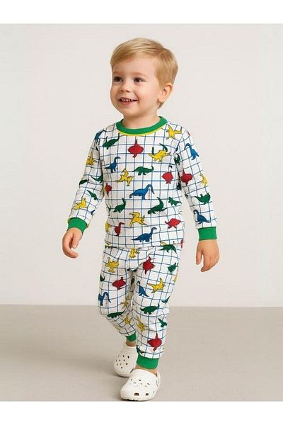 Zekids Boy's Cotton Dinosaur Pajama Set