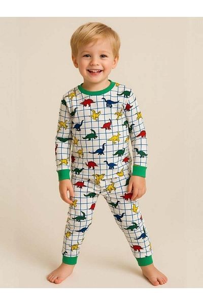 Zekids Boy's Cotton Dinosaur Pajama Set