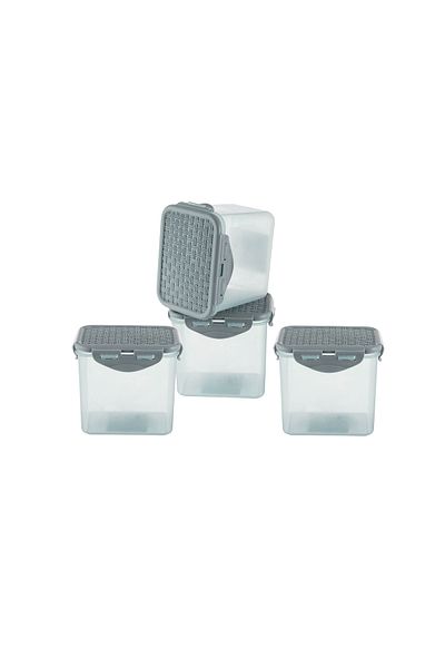 Dania 4-Piece Plastic Food Storage Container Set with Plastic Lid