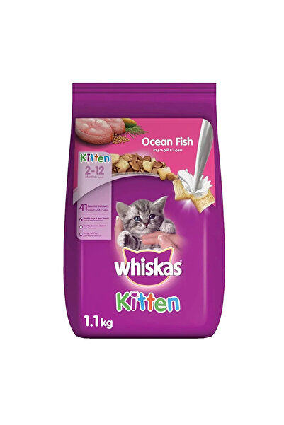 Whiskas طعام القطط الجاف بنكهة سمك المحيط والحليب، للأطفال من عمر شهرين إلى 1...