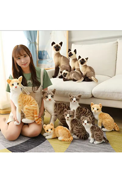 charmerprincesses İTHAL ÜRÜN Tekir kedi oyuncak Gerçek Görünümlü Peluş Kedi Tekir kedi peluş 25 CM YUMUŞAK PELUŞ