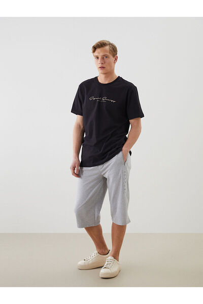 LC Waikiki Standard Fit Men's Shorts