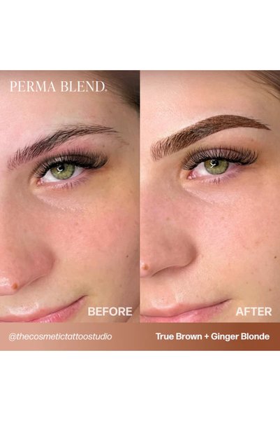 Perma Blend True Brown Permanent Makeup Eyebrow Pigment 15ml