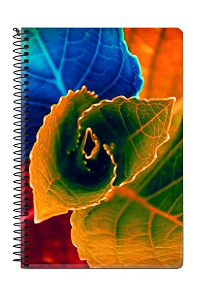 Stylizedd دفتر ملاحظات حلزوني متعدد الألوان من بلومين، أوراق الخريف، مقاس A5