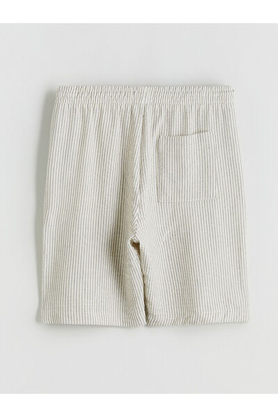 LC Waikiki Standard Fit Dobby Men's Shorts