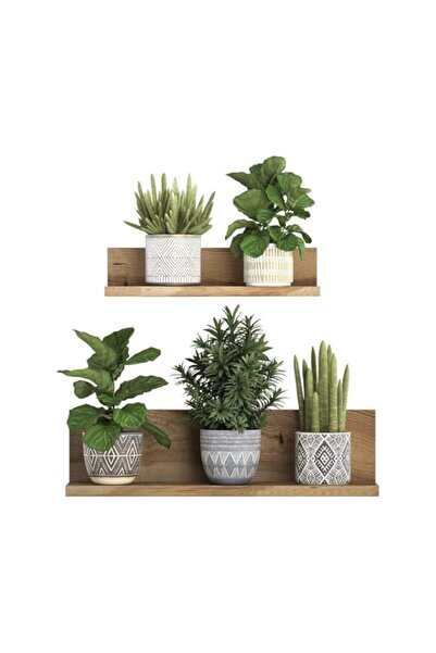 Generic ملصق حائط على شكل نبات خزنة أخضر في وعاء، مقاوم للماء وقابل للإزالة، ...