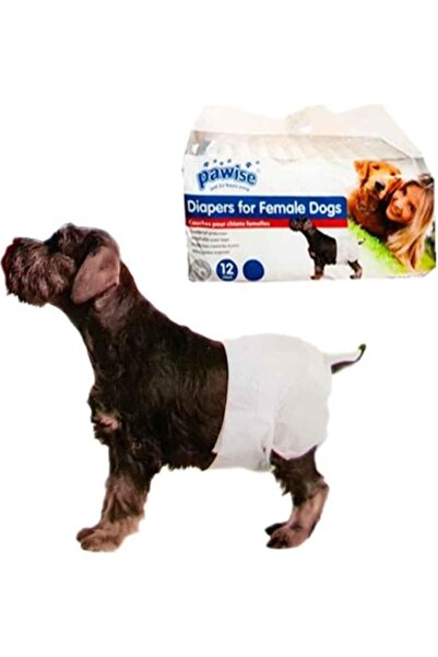 Pawise Dişi Köpek Alt Bağlama Bezi S Boy 12 Adet