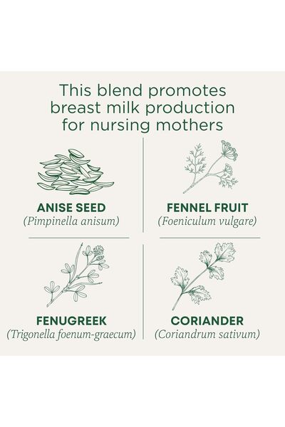 TRADITIONAL MEDICINALS Mother's Milk Tea, 16 Count