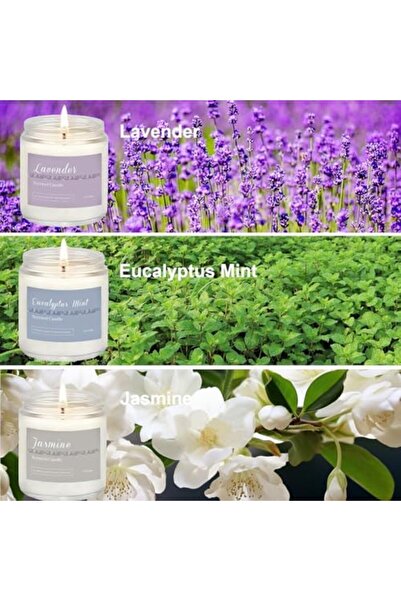 Generic 6 Pack Candles for Home Scented Aromatherapy Candles Gifts Set for Women, Lavender Candle, Natural S